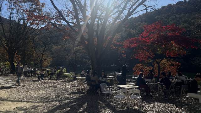 Tupa Fall Picnic — photo 12