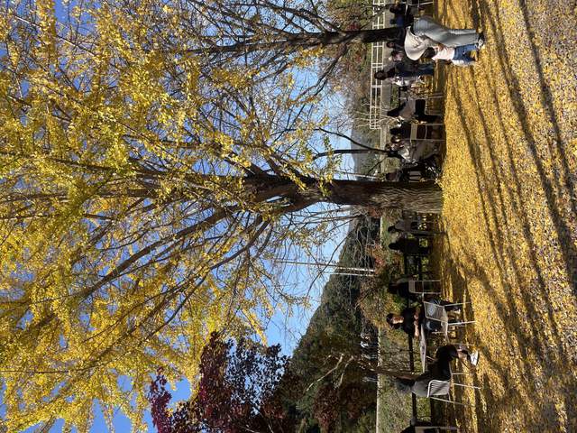 Tupa Fall Picnic — photo 2