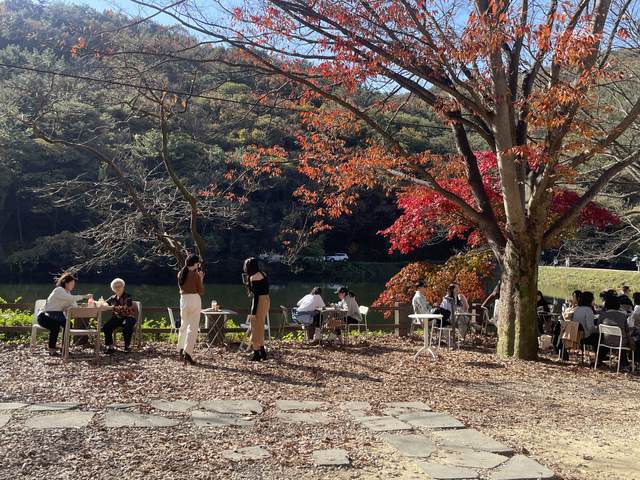Tupa Fall Picnic — photo 3