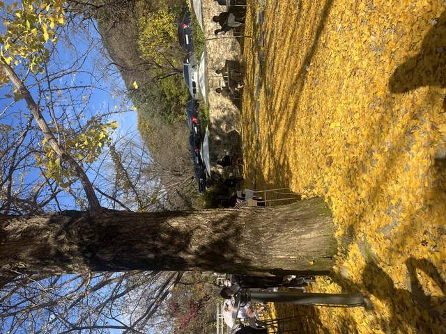 Tupa Fall Picnic — photo 8
