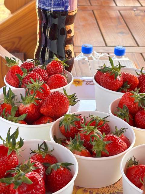 Strawberry Party is back — photo 3